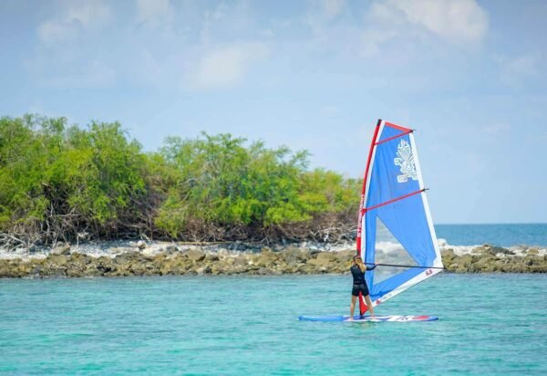 Sup Velas De Windsurf Compact Package - Imagen 10